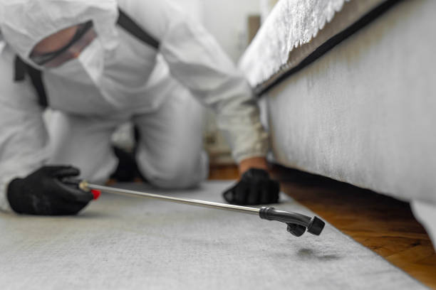 Professional Ant Control technician working in Mansfield Center, CT