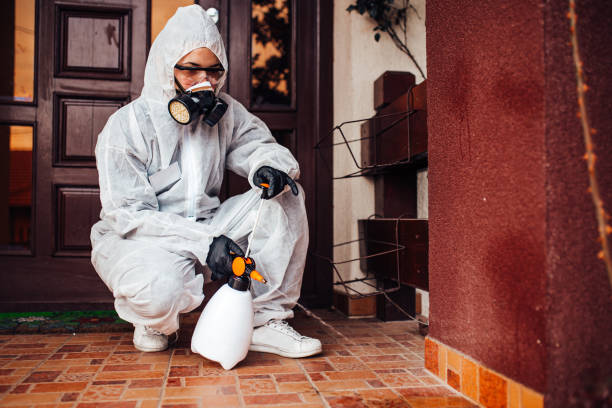 Reliable Ant Control contractor in Mansfield Center, CT by Nex Pest Control